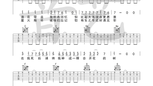 一颗会开花的树吉他教学