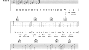 花海吉他指弹谱伟康