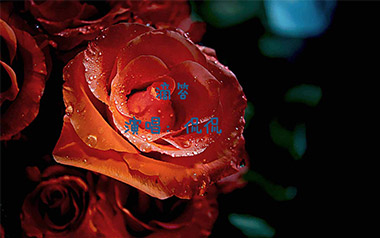 滴答吉他谱_侃侃_C调简单版_吉他弹唱六线谱 滴答吉他谱_侃侃_C调简单版_吉他弹唱六线谱